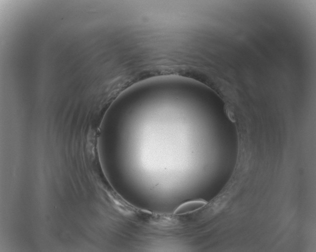 X0000077360768200610271854