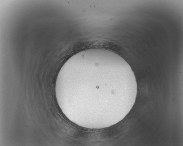 X0000077360769200610271853