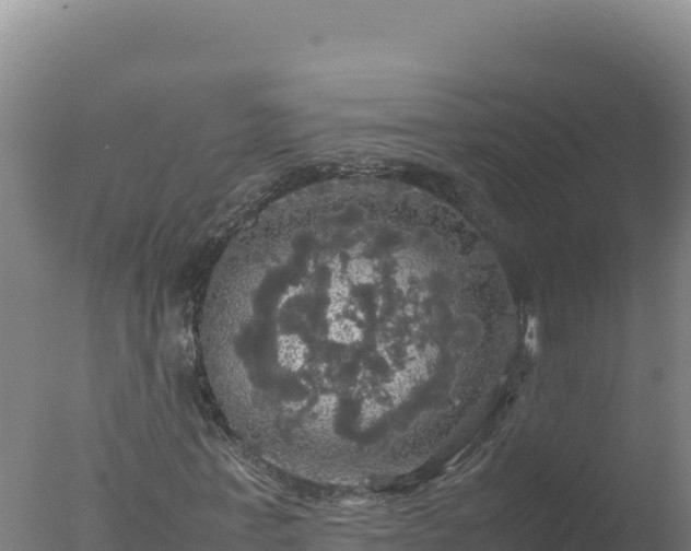 X0000077360771200610271853