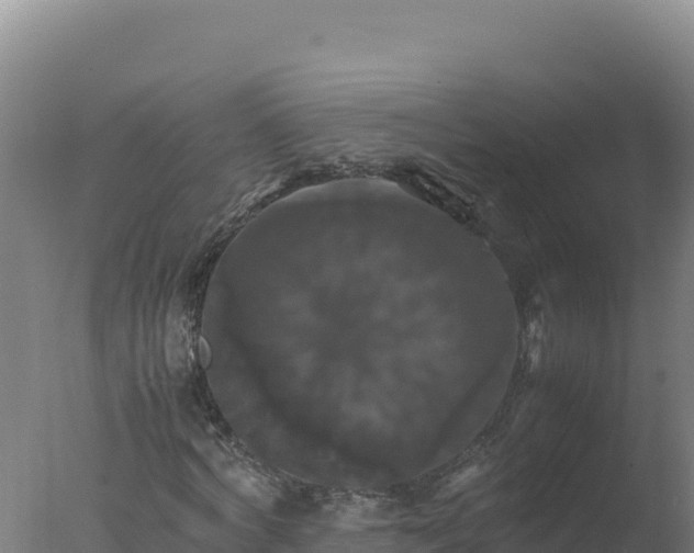 X0000077360772200610271853