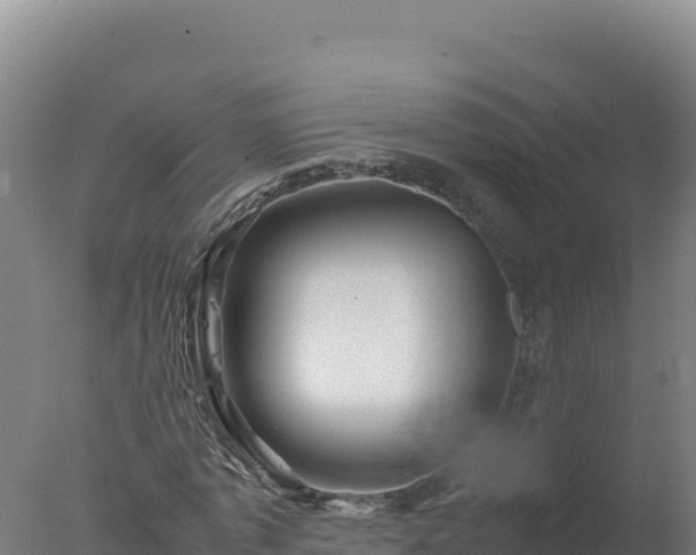 X0000077360773200610271853