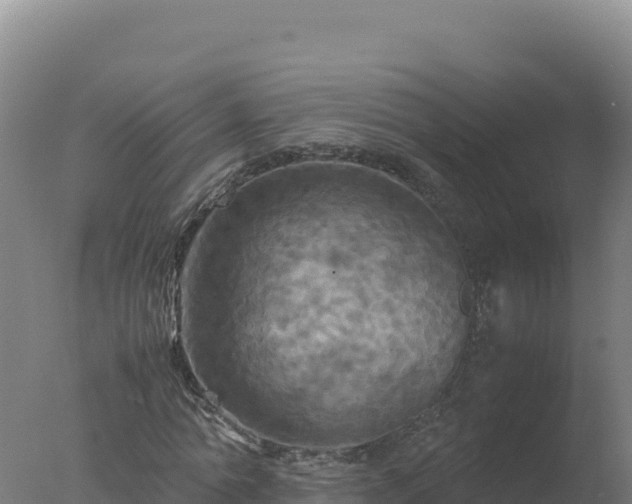 X0000077360774200610271853