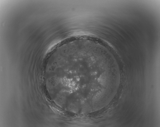 X0000077360775200610271853