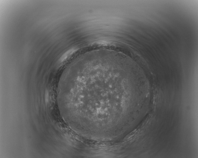 X0000077360776200610271853