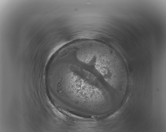 X0000077360779200610271853