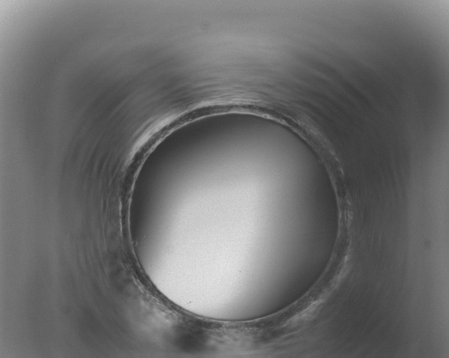 X0000077360781200610271853