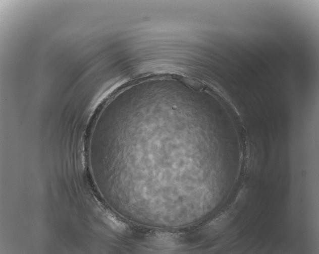 X0000077360782200610271853