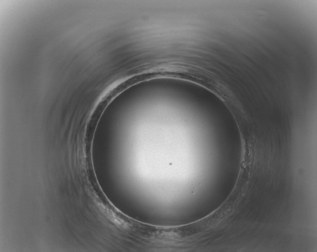 X0000077360784200610271853