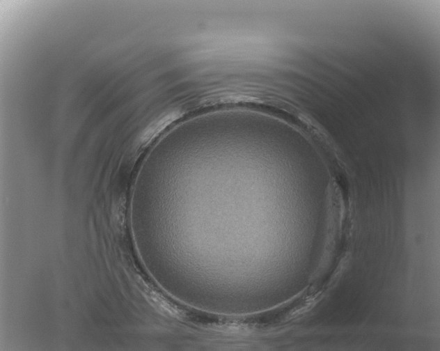 X0000077360785200610271853