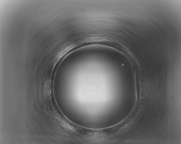 X0000077360786200610271853