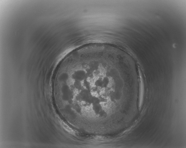 X0000077360787200610271853