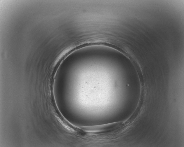 X0000077360789200610271853