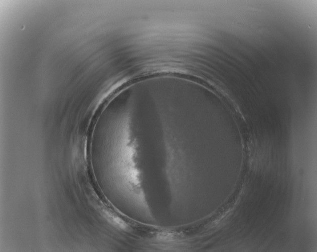 X0000077360790200610271853