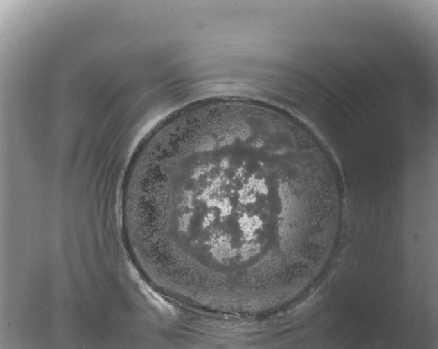 X0000077360791200610271853