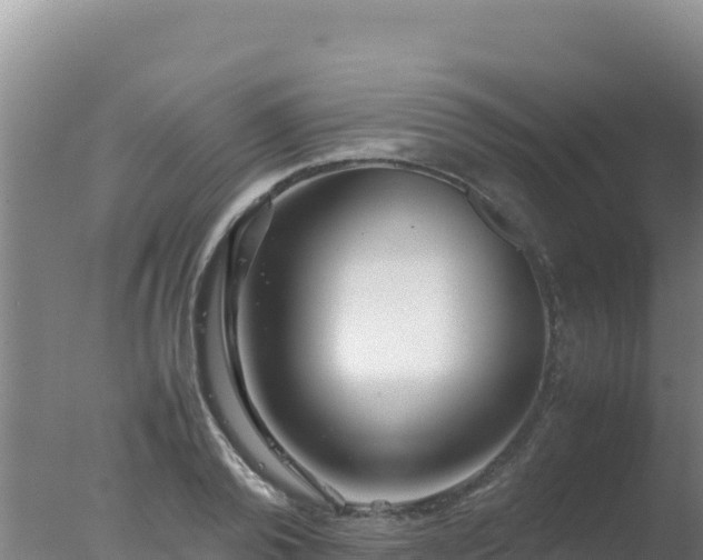 X0000077360792200610271853