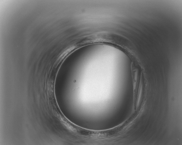 X0000077360793200610271853