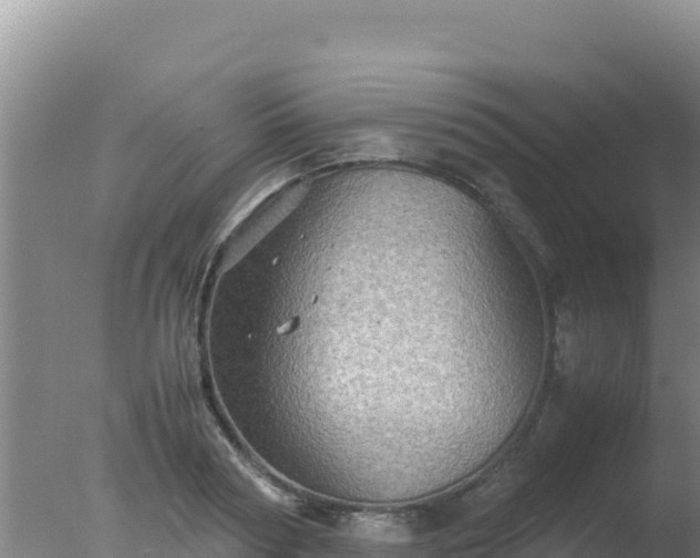 X0000077360794200610271853