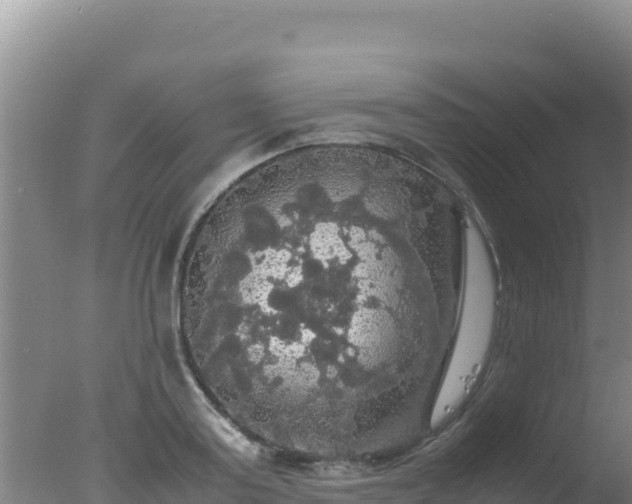 X0000077360795200610271853