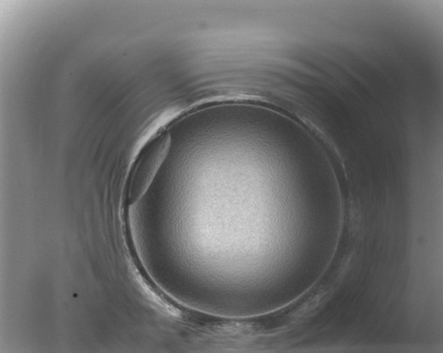 X0000077360797200610271853