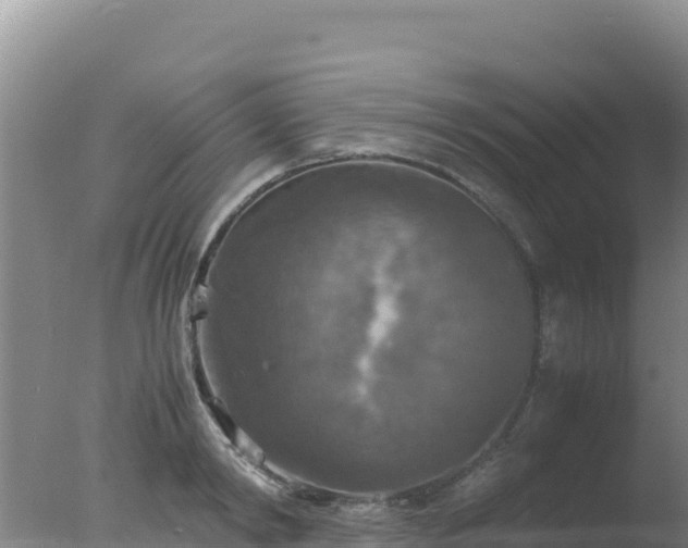 X0000077360798200610271853