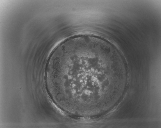 X0000077360799200610271853