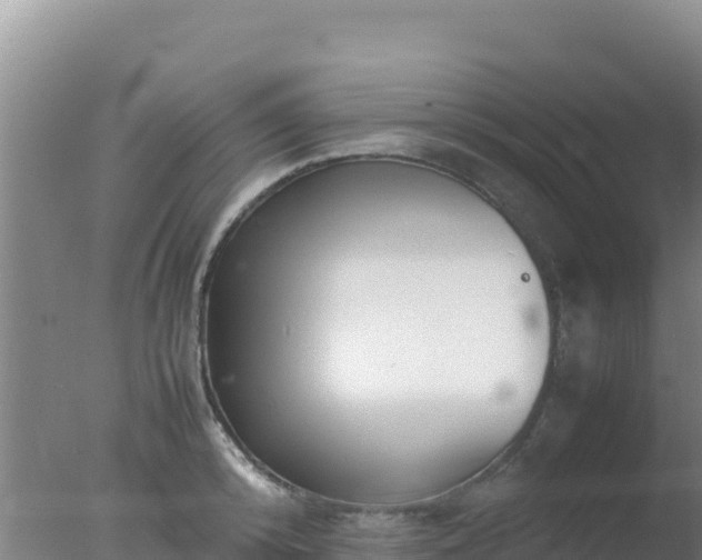 X0000077360800200610271853