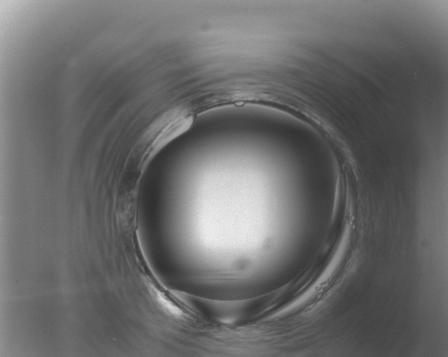 X0000077360801200610271853