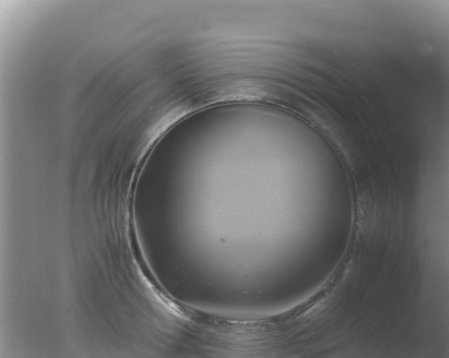 X0000077360802200610271853