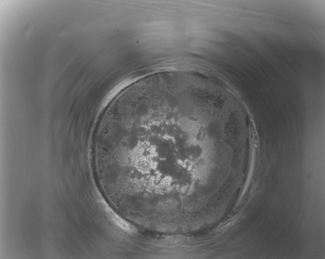 X0000077360803200610271853