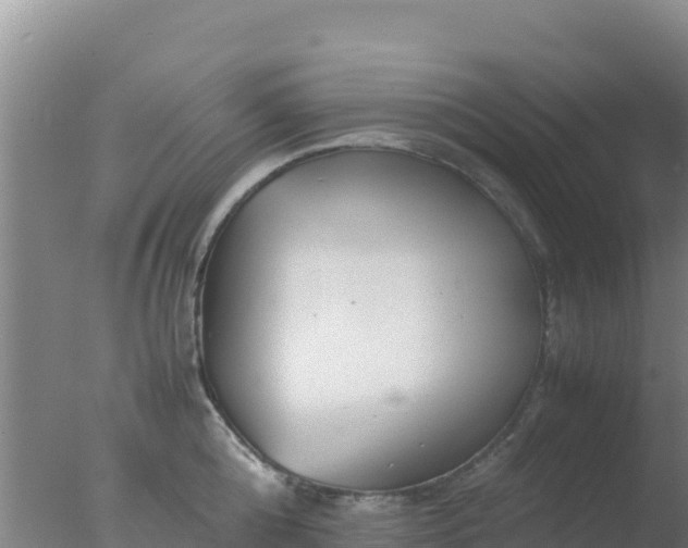 X0000077360808200610271852