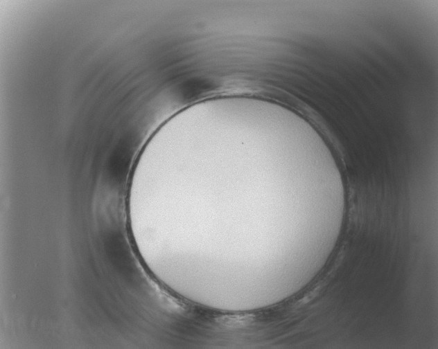 X0000077360810200610271852