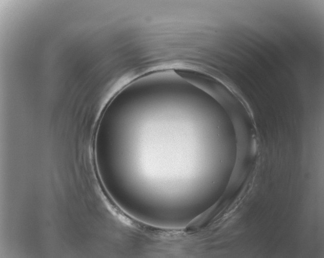 X0000077360813200610271852