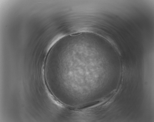 X0000077360814200610271852