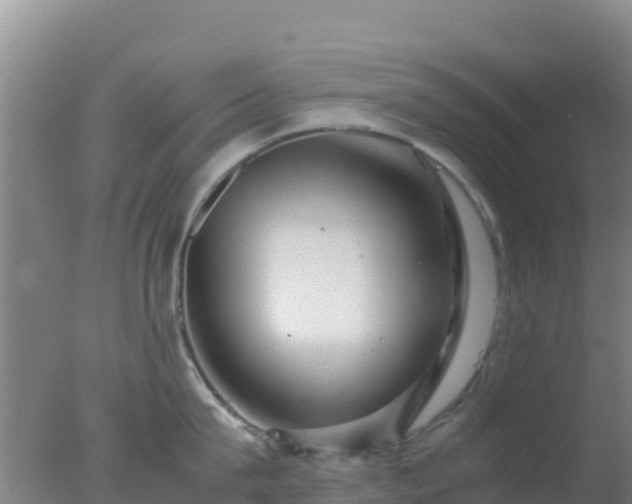 X0000077360815200610271852