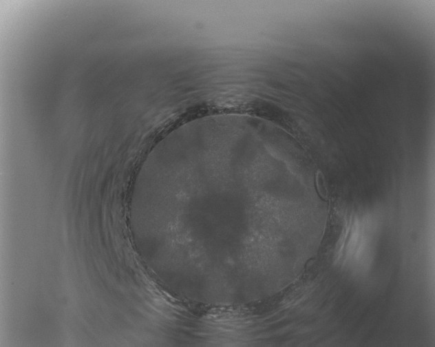 X0000077360817200610271852