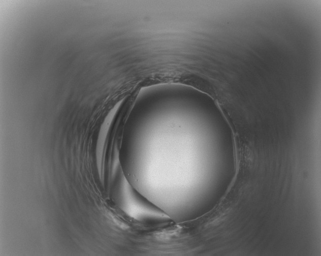 X0000077360818200610271852