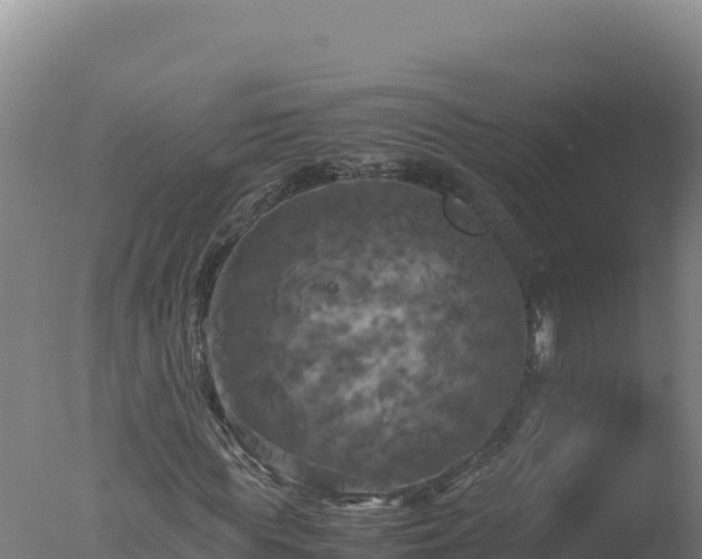 X0000077360819200610271852