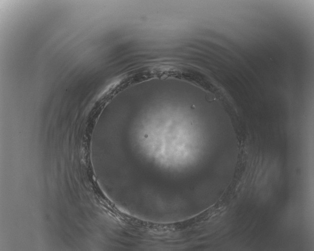 X0000077360823200610271852