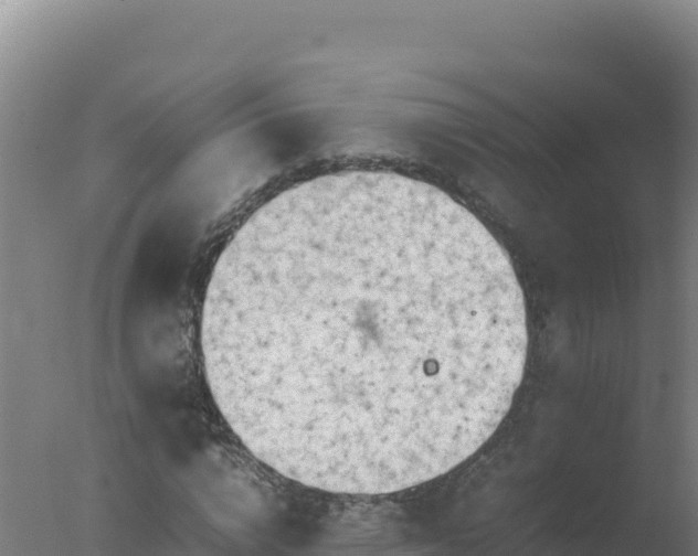 X0000077360824200610271852