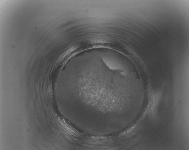 X0000077360825200610271852