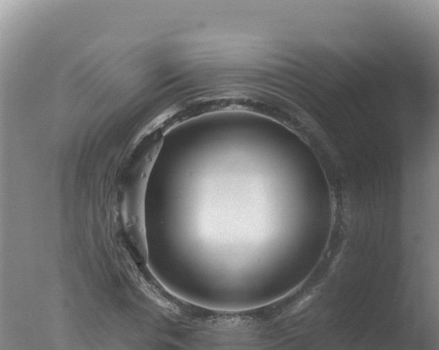 X0000077360826200610271852