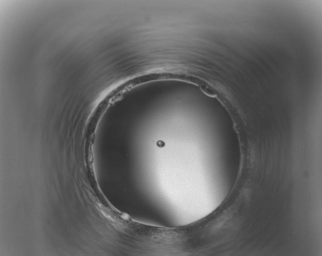 X0000077360830200610271852