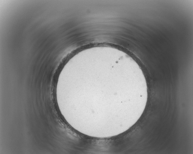 X0000077360832200610271852