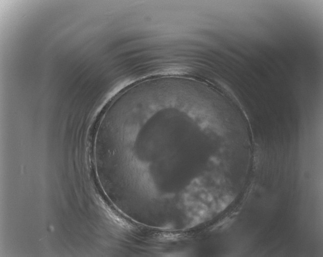 X0000077360835200610271852