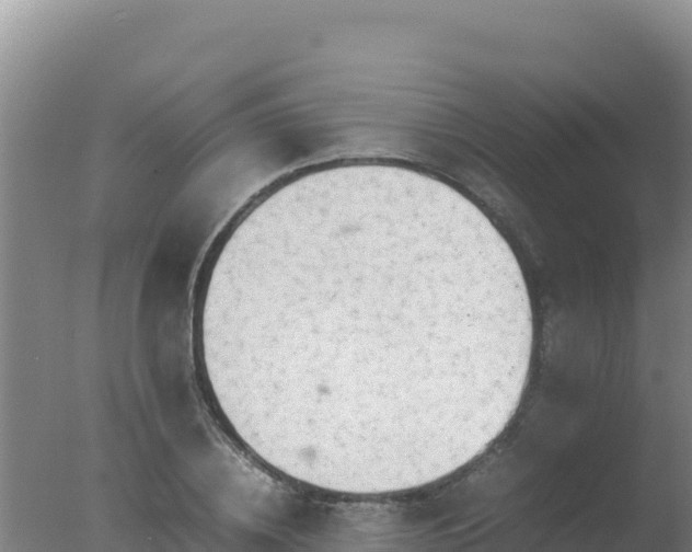 X0000077360836200610271852