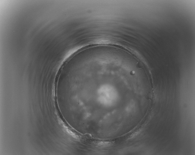 X0000077360839200610271852