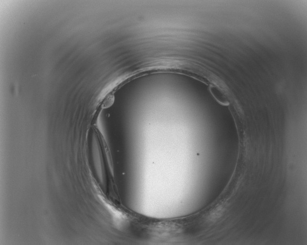 X0000077360842200610271852