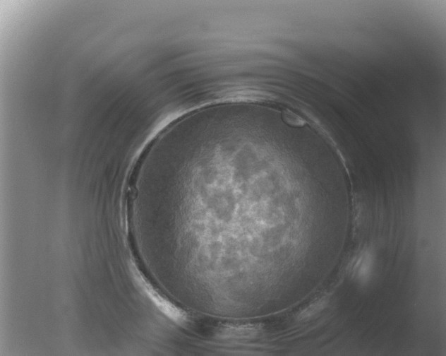 X0000077360843200610271852