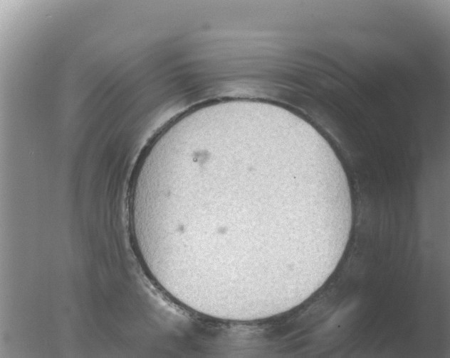 X0000077360848200610271852