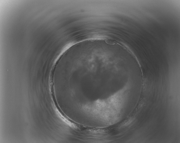 X0000077360851200610271852